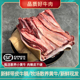 散养黄牛肉新鲜牛肋条带皮牛腩坑腩崩沙腩肚腩白腩牛腱子牛腿肉 带皮牛腩 3斤