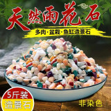 悠梵萌鱼缸造景底砂石五彩石溪流石水族箱底砂花卉盆栽铺面石装饰5斤