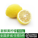 绿食者 新鲜黄柠檬500g 新鲜水果酸爽多汁切片泡茶奶茶店饮品食材材料