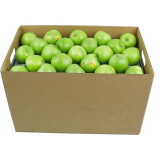GREENHOW美国青苹果新鲜进口水果礼盒装高档酸苹果 6颗装