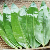 御农优品（YUNONG YOUPIN）粽叶粽子叶新鲜大粽叶包粽子箬竹叶端午节芦苇叶