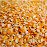 100斤干玉米粒喂鸡50斤玉米籽养鸡鸭鹅鸟饲料鸽粮玉米10斤30饲料 5斤玉米粒超值装