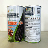 长耕黑甜糯玉米种子黑玉米种籽春四季玉米产高矮大棒生食耐旱粘孑种籽 黑甜糯玉米种168/450克【甜+糯】