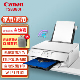 佳能（Canon） TS8380t无线家用商用小型彩色喷墨六色高清照片打印机复印扫描一体机 TS8380t白色 套餐一【加装连供系统循环加墨+1套墨水】