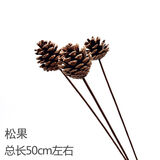 爱满 天然麦穗干花花束送新店开业花篮大麦礼物客厅田园装饰拍摄道具 松果3支