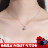 晓色蒲公英项链女925银项链小众轻奢锁骨链韩系精致百搭颈链ins风高级 A4X504 蒲公英之恋项链 【玫瑰礼盒】