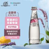 圣碧涛意大利进口 天然矿泉水 250ML*24瓶  整箱装