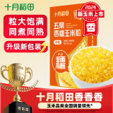 十月稻田 五常香糯玉米粒 1kg(中粒 大碴粥 脱皮玉米粒 杂粮)