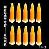 水母人工海盐水丰年虾赤月水母饲料开口饵料小包装海水素水母活物 丰年虾1.5毫升*10支