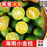 探味君 海南小金青桔 新鲜水果当季时令柠檬小橘子皮薄多汁奶茶店带箱 净重4.5-4.99斤 单果重5-10g