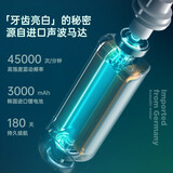 【全国8仓次日达】德国LMN 电动牙刷声波震动全自动充电式美白成人学生党女生情侣套装 绚烂紫(4支刷头)