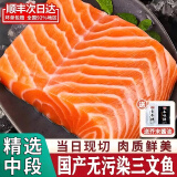 悠轶新鲜新疆三文鱼 生鲜刺身生鱼片海鲜水产冷冻冰鲜中段三文鱼 中段 1200g 【超值精修整块】