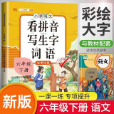 小学六年级下册看拼音写词语练字帖生字注音语文课本同步专项训练 习字本写字练习册彩绘版