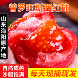 优仙果优仙果新鲜普罗旺斯西红柿 生吃柿子茄果瓜新鲜蔬菜 4.5斤 彩箱精品装