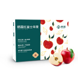 京鲜生 栖霞红富士苹果3.2kg/12粒 单果230g+ 礼盒装 地标 京东自有品牌
