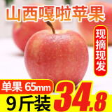 壹农壹果2023新苹果 红嘎啦苹果 65mm起 当季时令新鲜脆甜丑苹果水果 精选9斤装（净重8.5斤）