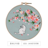 东方美绣 新款刺绣diy手工自绣印花创意绣品初学者古风丝带绣苏绣团扇绣花自己制作手工刺绣DIY材料包 朝花夕拾材料包+20CM仿竹绣绷