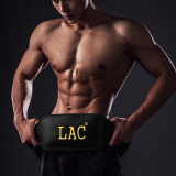 LAC牛皮健身腰带深蹲健身运动护腰男女举重硬拉力量举背宽15.5CM M