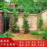 卫东包塑钢管支架杆家用植物花架子室外庭院架杆豆角黄瓜爬藤架番茄架 直径11mm长150cm【10支装】