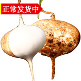 辰实【发货中】新鲜白地瓜 生吃土瓜凉薯水果白地瓜地萝卜 净重8斤