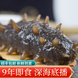 神礁岛 大连即食海参 辽刺参 深海底播 海鲜水产 9年1000g16-24只简装