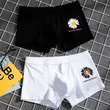 宝盖丁男士内裤男平角透气宽松平角裤小雏菊纯棉四角裤衩春夏男式内裤 【2条装】黑+白 XL