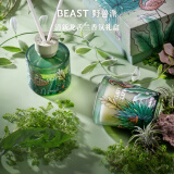 野兽派（THE BEAST）Jungle清新龙舌兰香薰蜡烛礼盒香薰室内新婚礼物生日礼物