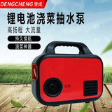 登成21V电动抽水泵农家用浇菜抽水机充电式锂电浇花户外浇水浇地神器 21V大功率带10米出水60分钟续航