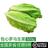 绿食者 新鲜包心罗马生菜500g 罗马罗纹生菜凯撒沙拉蔬菜 西餐沙拉食材