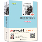 钢铁是怎样炼成的/全本无删减 无障碍阅读 八年级下必读 （赠京师大讲堂视频解析）