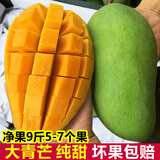颜小荭越南大青芒果新鲜当季现摘特大整箱青皮水果芒果源头直发 8.5-9斤家庭装（单果450g起）