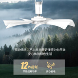 YANGZI家用小吊扇床上学生宿舍小风扇大风力卧室迷你小型蚊帐电风扇轻音电扇 5叶标配（1.5m电源线）
