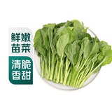 【苗苗菜】宁夏菜心苗250g