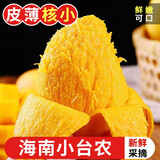 探味君 海南小台农芒果 小台芒当季热带新鲜水果生鲜整箱 8.5斤 净重 【严选装】单果100-130g