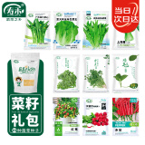 寿禾 10种蔬菜种子青菜生菜西红柿鸡毛菜辣椒籽四季 10种蔬菜种子套餐