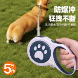 迪普尔狗狗牵引绳自动伸缩狗绳子狗链中小型犬遛狗小狗网红宠物用品-5米