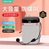 索爱（soaiy）S318小蜜蜂扩音器教师专用U盘TF卡麦克风喇叭防啸叫导游蓝牙音箱户外教学讲课  TYPE-C金