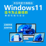 正版win11专业版纯净原版重装Windows10家庭中文版升级Pro苹果笔记本安双系统M芯片虚拟机 win11/10-专业版-家庭版-在线安装服务