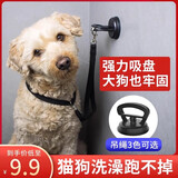 千宠乐宠物洗澡固定器绑狗绳子美容桌吊绳猫咪洗澡神器防跑牵引绳带吸盘 吊绳带吸盘（中小猫犬用） 黑色吊绳