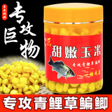柏羽 甜嫩玉米饵料钓鱼挂钩串鲤鱼专用鱼饵大物玉米粒草鱼青鱼翘嘴野钓黑坑 密曲VB味(添加高效诱鱼小药)200克*1瓶