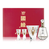 今世缘V9国缘精美酒具礼盒套装 白酒100ml*1