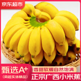 优味集小米蕉5斤香蕉广西水果整箱3斤芭粉蕉苹果蕉正宗整箱软糯香甜鲜果 【畅享装】净重 5斤