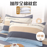 艾薇100%全棉枕套+枕头组合装 学生宿舍酒店家用枕头枕芯 罗马时代