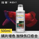 玛豆V7龙鱼用维生素专用营养液观赏鱼v益生菌c防厌食促进发色伤口愈合 全国7仓发货，500ML单瓶装（促进鳞片发色）