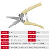 保联 园林艺剪刀修枝剪摘水果神器剪枝剪刀花枝摘柿子修枝剪树枝剪刀 【白玫瑰】花枝剪