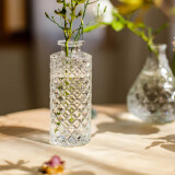掬涵 小型复古玻璃器皿欧式花瓶花器透明干花插花水培客厅装饰摆件 D（5.3*13cm）