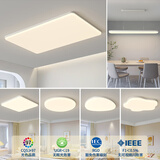 时光大师中山灯具2025款客厅卧室灯餐厅灯现代简约全屋套餐智能APP吸顶灯 白色·4室2厅·已接入米家智能