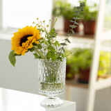 恰好时光玻璃花瓶水培植物花瓶 插花瓶干花插花瓶玻璃瓶菱形高脚花瓶