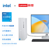 联想（Lenovo）天逸510S尊享版商务台式机电脑主机(酷睿14代i5-14400 16G DDR5 2TB HDD+512G SSD win11)23.8英寸