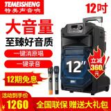 特美声（TEMEISHENG） SL12-31T户外广场舞K歌音响大功率便携式拉杆蓝牙移动音箱 12寸标配+2支无线话筒+大礼包 (赠送好礼)